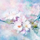 Blossom blue by Andreas Wemmje thumbnail