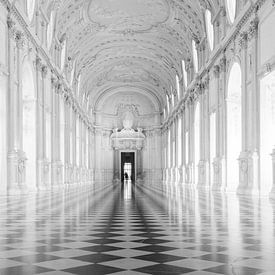 Galleria Grande, Palazzo Venaria Reale by Jan Sluijter