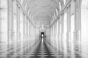 Galleria Grande, Palazzo Venaria Reale von Jan Sluijter