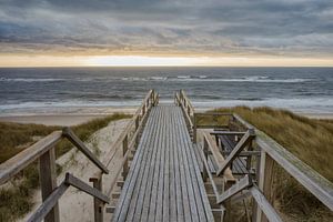 Der Weg zum Meer