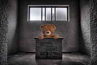 Teddy bear
