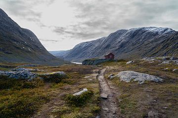 Entlang des Weges von Vogelvrij fotografie