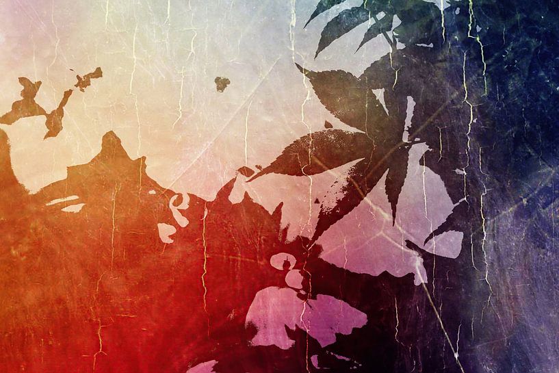 Herbstmorgen von HMS