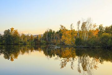Autumn atmosphere at Lake Nillsee in the Pfrunger-Burgweiler Ried near Wilhelmsdorf by BlattArt - Christine Horn