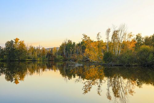 Herfstsfeer bij de Nillsee in de Pfrunger-Burgweiler Ried bij Wilhelmsdorf
