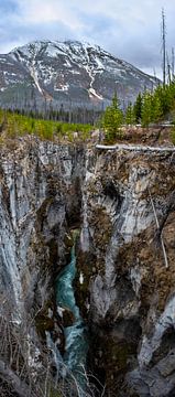 Verticaal panorama (Vertorama) van de Marble Canyon, Canada