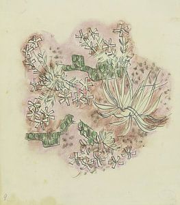 August Babberger - Studie für Pflanzen