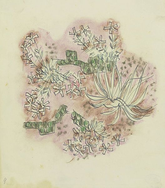 August Babberger - Study for plants by Peter Balan