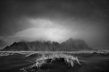 Zwart strand aan zee in IJsland in zwart en wit. van Manfred Voss, Schwarz-weiss Fotografie