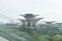 Gardens By the Bay, Singapore