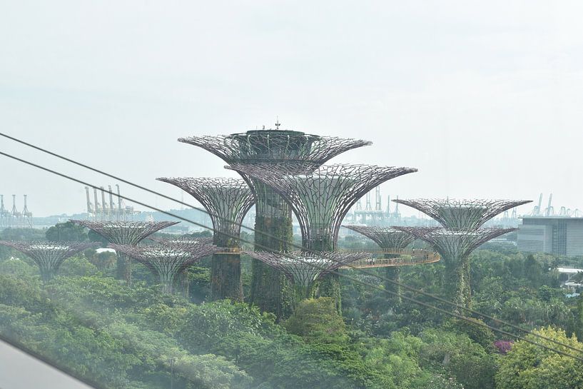 Jardins de la baie, Singapour par Kiki Deurvorst