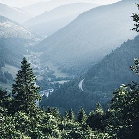 Blick vom Feldberg in den Schwarzwald von Dylan Shu