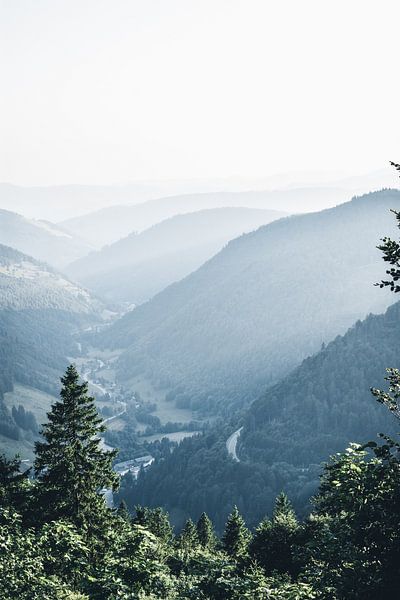 View from the Feldberg in the Black Forest by Dylan Shu