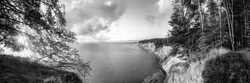 Roches de craie sur l'île de Rügen au lever du soleil en noir et blanc sur Manfred Voss, Schwarz-weiss Fotografie