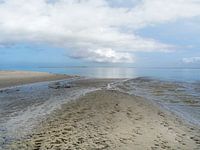 Op de grens van Wad en Strand