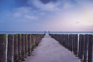 Palen strand