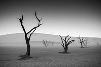 Deadvlei schwarz und weiß