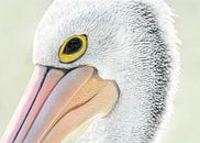 The Pelican "In my eye" von Vincent Willems Miniaturansicht
