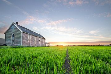 Schuur bij zonsondergang nederland bollenveld van Joyce van Galen