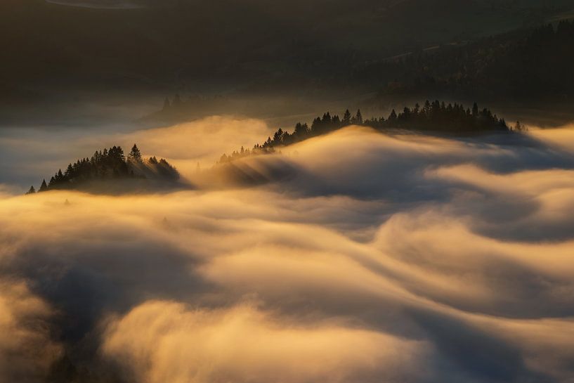 brouillard à Pieniny par Wojciech Kruczynski