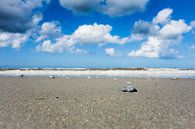 Het strand van Ameland van Thea.Photo thumbnail