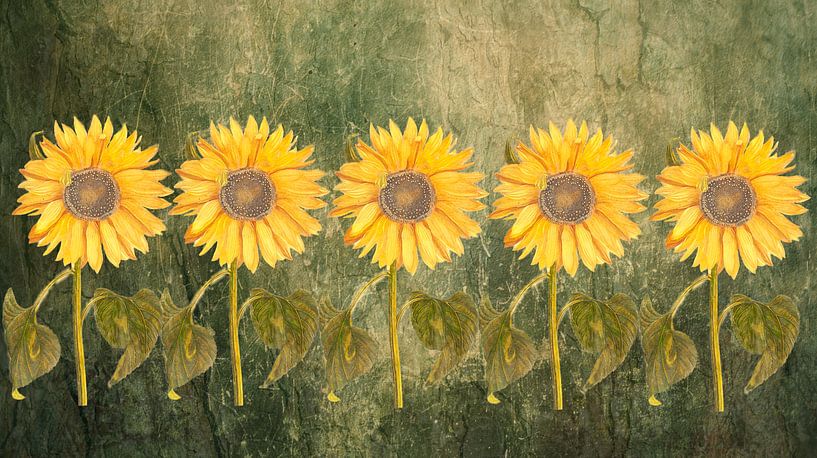 Zonnebloem ritme in Symmetrie van ArtWorks Saranda in t Veld