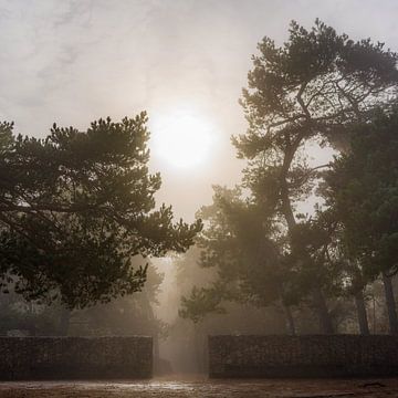 De zon breekt door