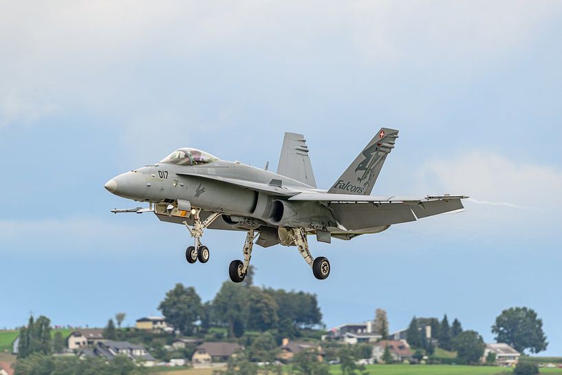 Équipe de démonstration solo du F/A-18 Swiss Hornet. par Jaap van den Berg