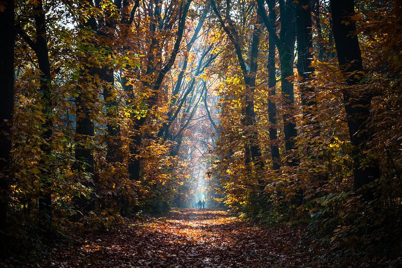 Autumn Stroll van William Mevissen