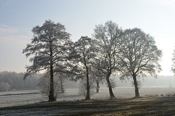 Winter landschap van Corinna Vollertsen