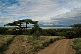 Manyara by BL Photography
