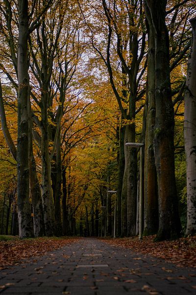 Jahreszeiten in Wassenaar von Sebastian Stef