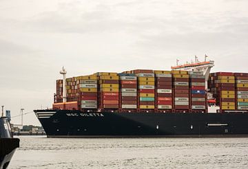 Container ship MSC Diletta and the RPA14 Port of Rotterdam. by scheepskijkerhavenfotografie