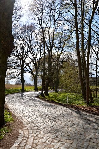 Rue pavée près de Klein Stresow sur l'île de Rügen