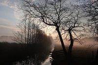 Mist op de velden en sloten, voor vroege vogels.