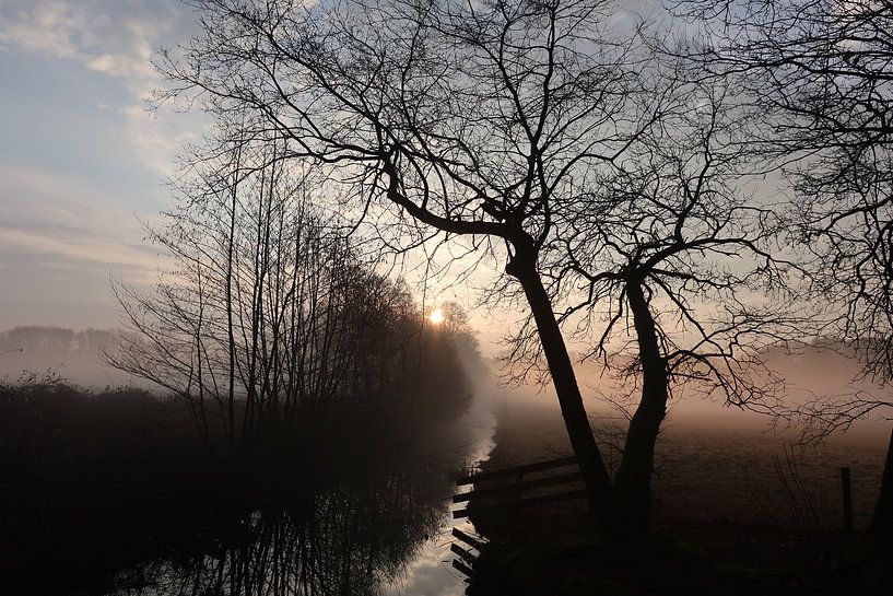 Mist op de velden en sloten, voor vroege vogels. von Cora Terlouw