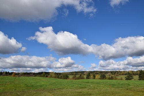 Velden onder een zomerhemel