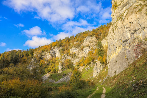 Wandelpad langs de imposante Jura kalksteenrotsen bij Fridingen in het Boven-Donau Natuurpark