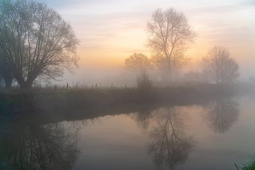 Foggy morning along the Dender