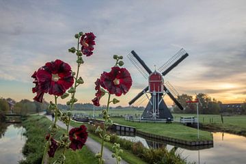 Windmühle des Polders Buitenweg Oud-Zuilen bei Utrecht am frühen Morgen