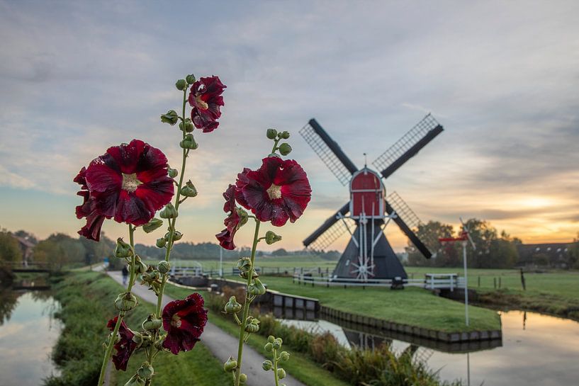 Windmühle des Polders Buitenweg Oud-Zuilen bei Utrecht am frühen Morgen von Russcher Tekst & Beeld