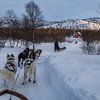 Huskysleeën in Lapland over Langfjorde van Mart Houtman
