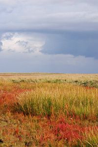 Schiermonnikoog