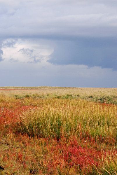 Schiermonnikoog van Margreet Frowijn