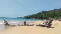 Beach on Guadeloupe