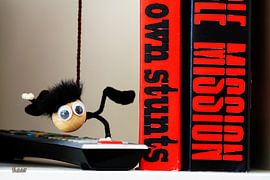 Funny close up of 'Mission Impossible' Fubby by Sailographic Paula