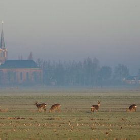 Église de Hommerts sur Jitske Van der gaast
