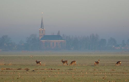 Kerk van Hommerts van Jitske Van der gaast