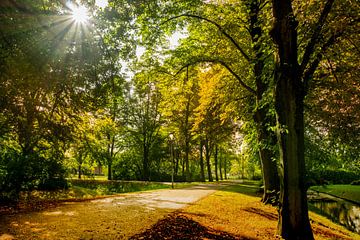Boslaantje in autumn shades by Willian Goedhart