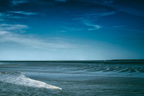Laagwater op de Waddenzee bij Schiermonnikoog